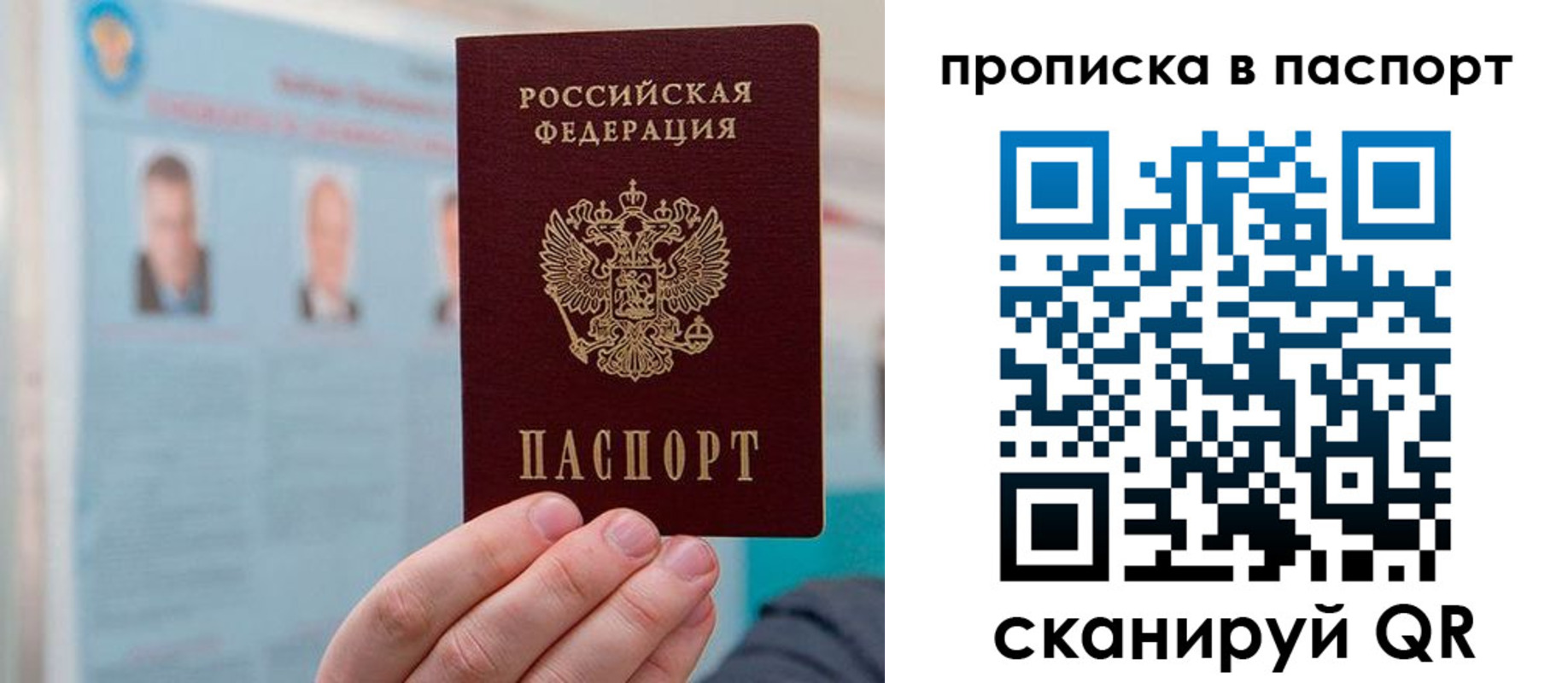 прописка гарантия в Щёлкино